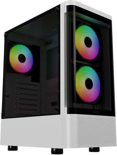 I3-10100F RAM 16 GB SSD 500GB GTX 1660 TI 6GB