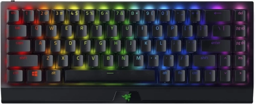 Razer BlackWidow V3 Mini 