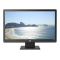 HP 20 Inch Monitor