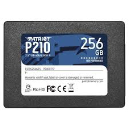 Patriot P210 256GB