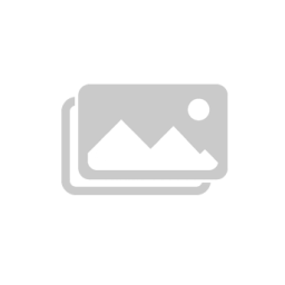 პროცესორის ჩარჩო